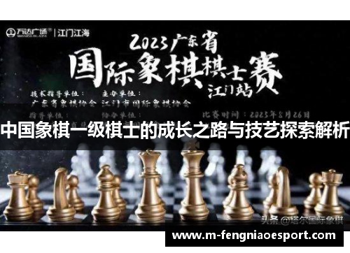 中国象棋一级棋士的成长之路与技艺探索解析