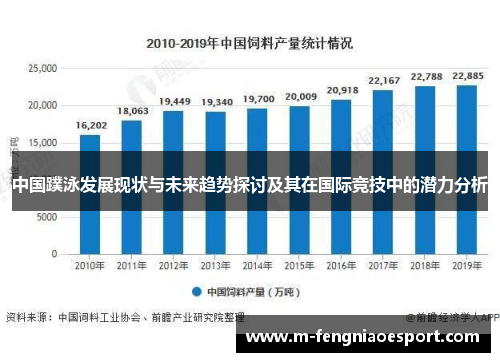 中国蹼泳发展现状与未来趋势探讨及其在国际竞技中的潜力分析