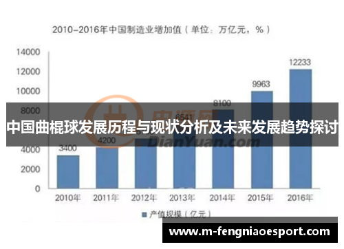 中国曲棍球发展历程与现状分析及未来发展趋势探讨